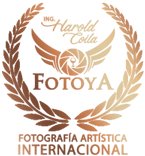 Logo Fotoya